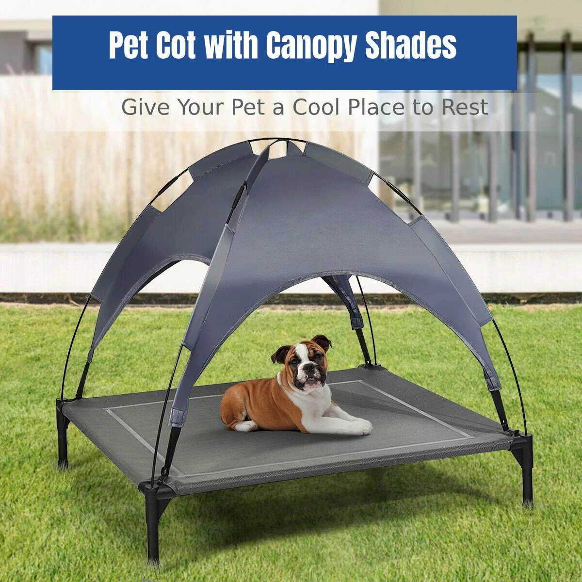 Elevated Pet Bed with Removable Canopy - Image 11